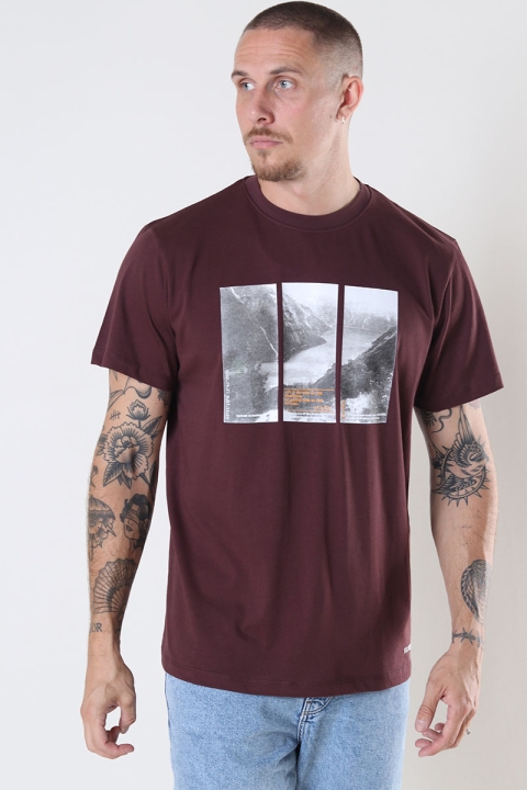 Fat Moose Johan Cotton Tee Dark Plum