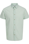 Jack & Jones Summer Shirt SS Iceberg Green